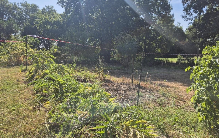 Terrain GROSBREUIL (85440)  508 m2 55 500 € 