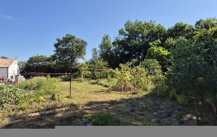Terrain GROSBREUIL (85440)  508 m2 55 500 € 