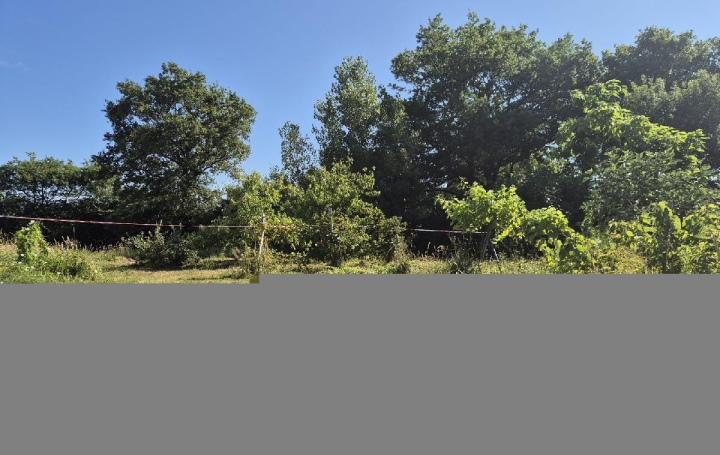 Terrain GROSBREUIL (85440)  508 m2 55 500 € 