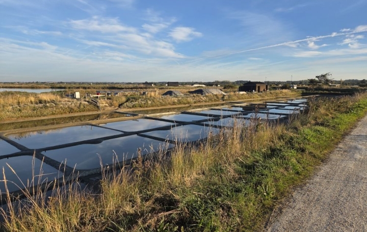 Maison L'ILE-D'OLONNE (85340)  145 m2 399 900 € 