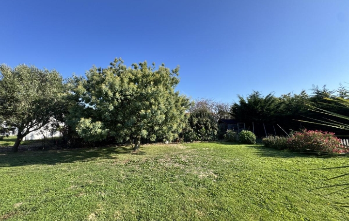 Terrain L'ILE-D'OLONNE (85340)  530 m2 99 990 € 