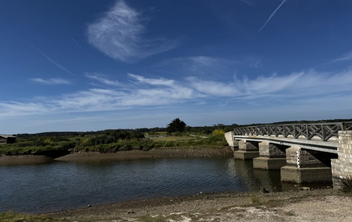 Terrain L'ILE-D'OLONNE (85340)  530 m2 92 500 € 