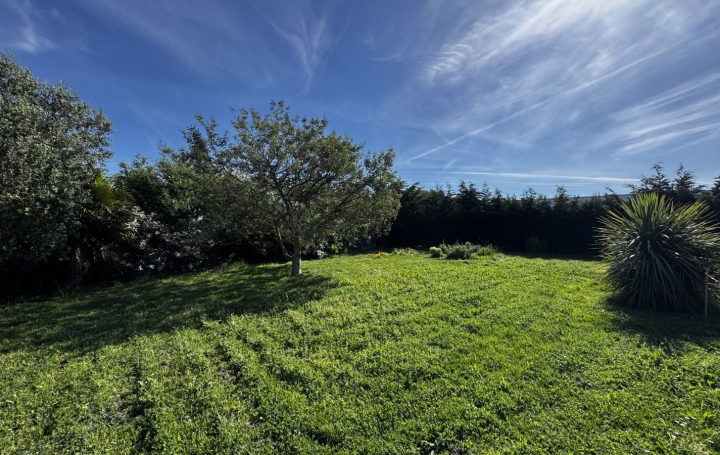 Terrain L'ILE-D'OLONNE (85340)  530 m2 92 500 € 
