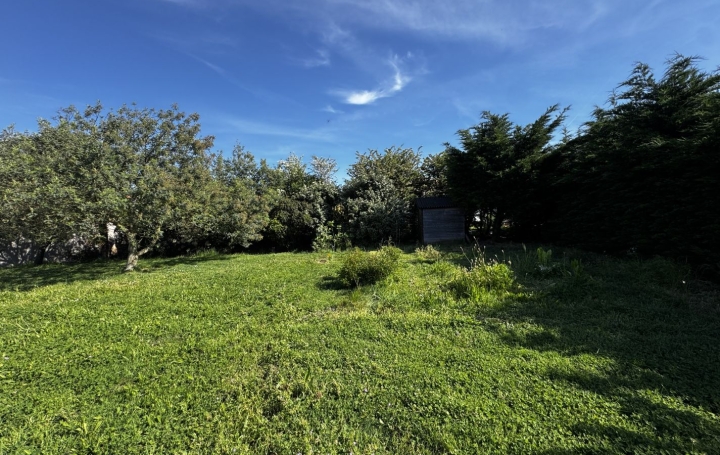Terrain L'ILE-D'OLONNE (85340)  530 m2 92 500 € 