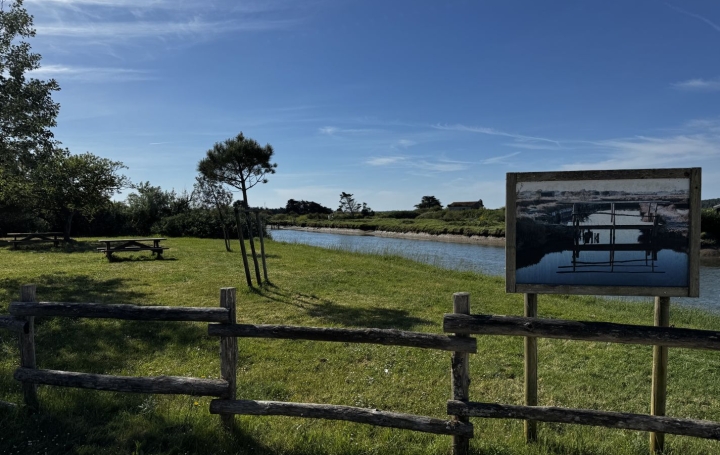Terrain L'ILE-D'OLONNE (85340)  530 m2 92 500 € 