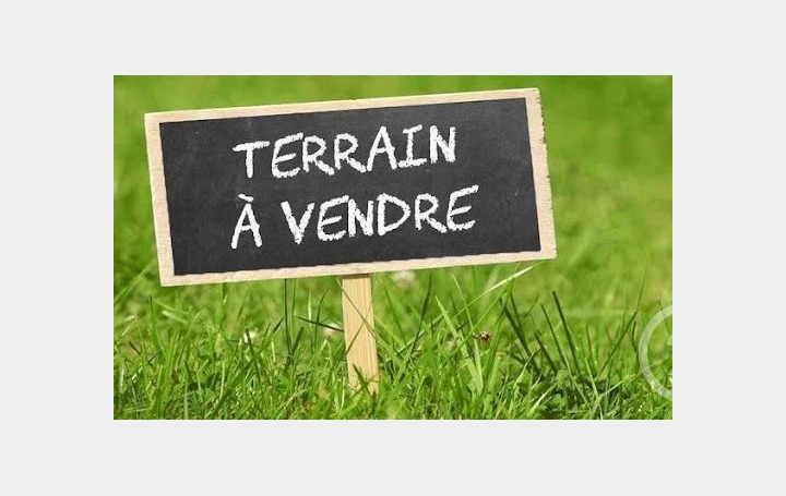 Terrain SAINTE-FOY (85150) 4 968 m<sup>2</sup> 100 000 € 