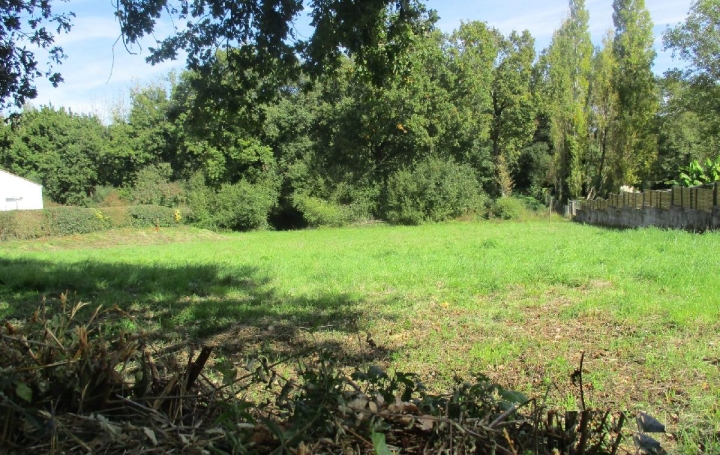 Terrain GROSBREUIL (85440) 385 m<sup>2</sup> 74 000 € 