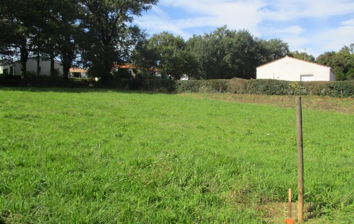 Terrain SAINTE-FOY (85150)  385 m2 74 000 € 