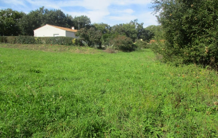 Terrain GROSBREUIL (85440)  2 348 m2 129 900 € 