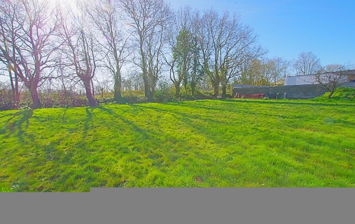 Terrain SAINTE-FOY (85150)  697 m2 89 900 € 