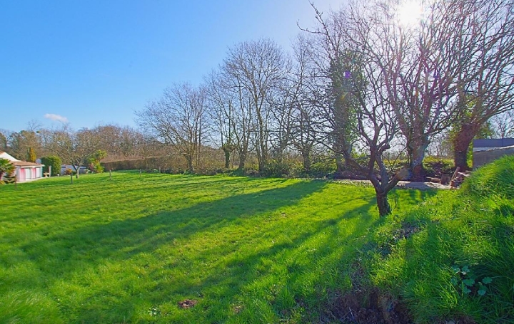 Terrain SAINTE-FOY (85150)  697 m2 89 900 € 