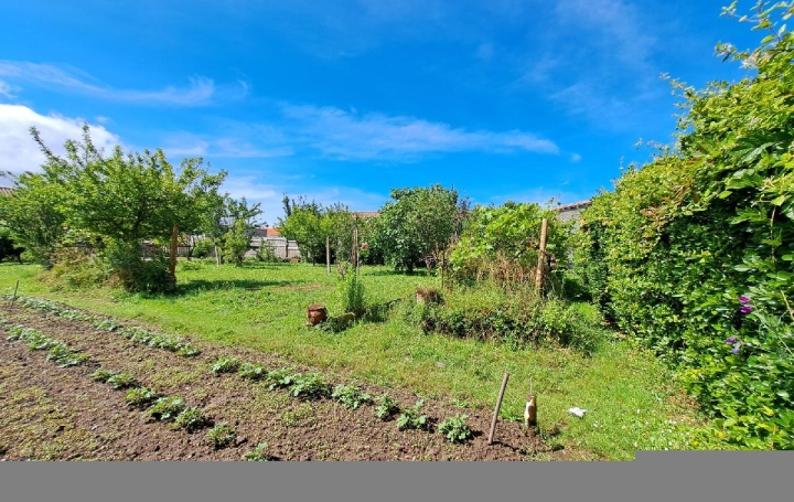 Terrain L'ILE-D'OLONNE (85340)  362 m2 39 000 € 