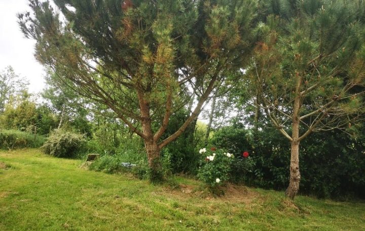 Terrain TALMONT-SAINT-HILAIRE (85440)  9 295 m2 69 900 € 