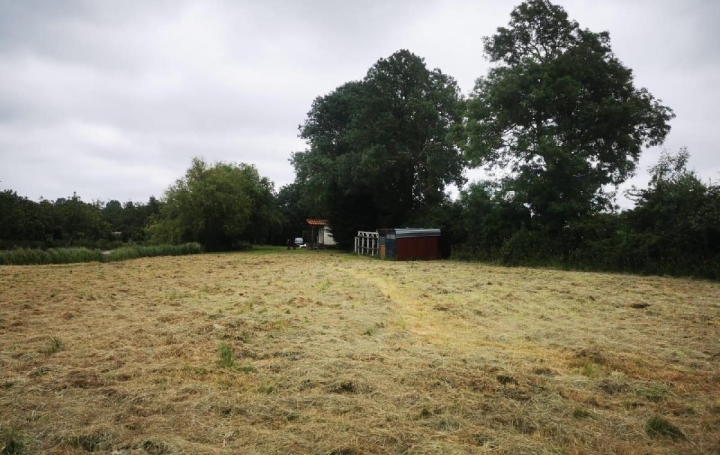 Terrain TALMONT-SAINT-HILAIRE (85440)  9 295 m2 69 900 € 