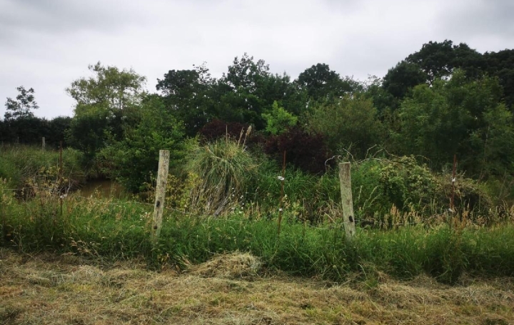 Terrain TALMONT-SAINT-HILAIRE (85440)  9 295 m2 69 900 € 