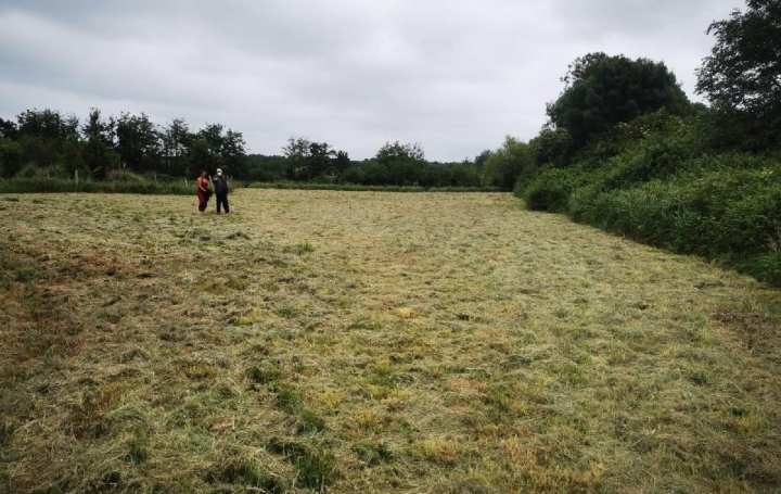 Terrain TALMONT-SAINT-HILAIRE (85440)  9 295 m2 69 900 € 