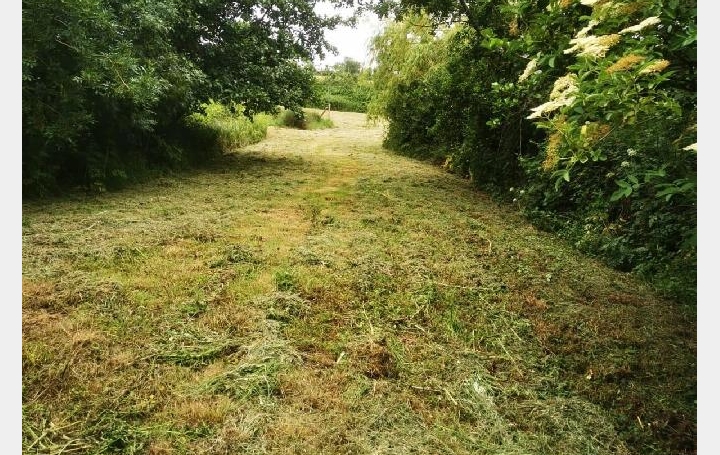 Terrain TALMONT-SAINT-HILAIRE (85440)  9 295 m2 69 900 € 