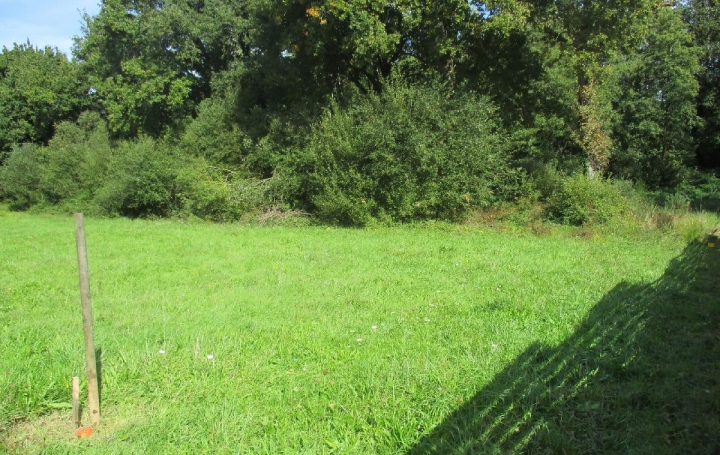 Terrain SAINTE-FOY (85150)  2 348 m2 169 900 € 