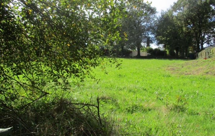 Terrain SAINTE-FOY (85150)  750 m2 159 900 € 