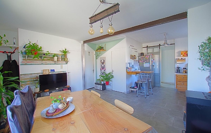 Maison TALMONT-SAINT-HILAIRE (85440)  67 m2 247 000 € 