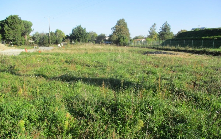 Terrain SAINTE-FOY (85150)  450 m2 108 500 € 