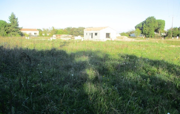Terrain SAINTE-FOY (85150)  450 m2 108 500 € 