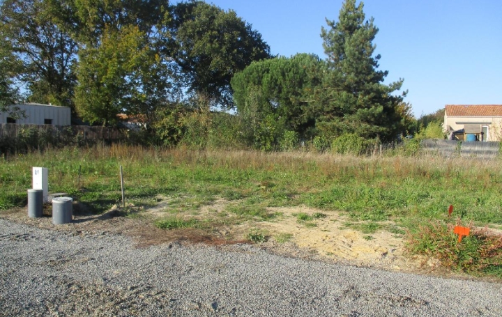 Terrain SAINTE-FOY (85150)  450 m2 108 500 € 