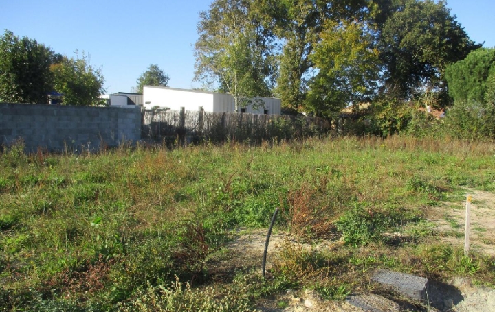 Terrain SAINTE-FOY (85150)  450 m2 108 500 € 