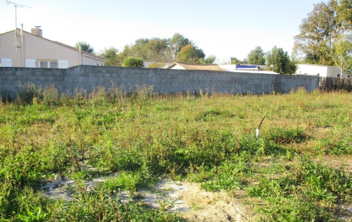 Terrain SAINTE-FOY (85150)  450 m2 108 500 € 
