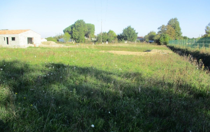 Terrain SAINTE-FOY (85150)  450 m2 108 500 € 