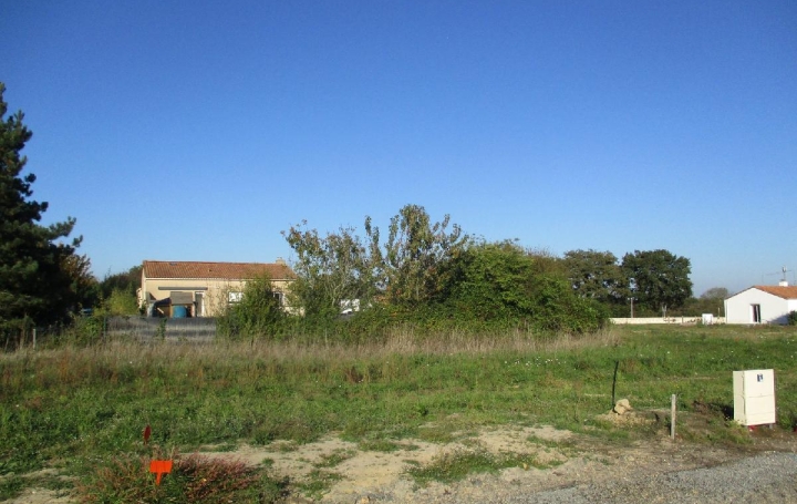 Terrain SAINTE-FOY (85150)  426 m2 105 000 € 