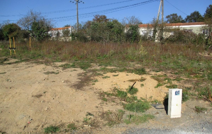 Terrain BREM-SUR-MER (85470)  432 m2 89 000 € 
