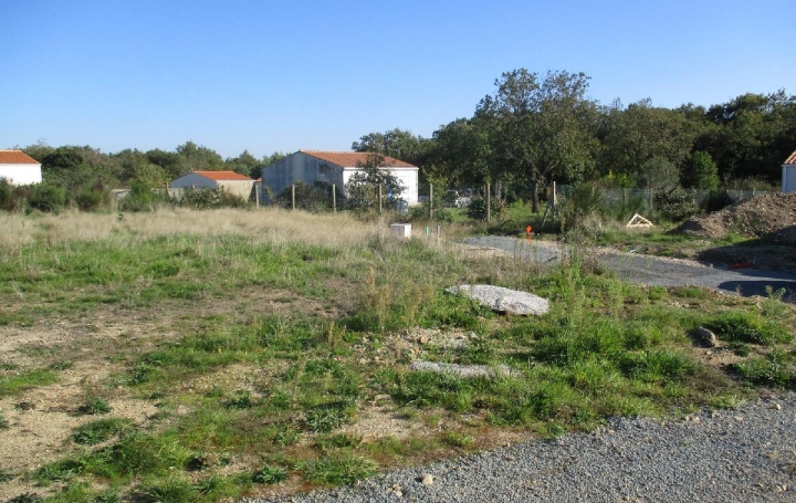 Terrain BREM-SUR-MER (85470)  432 m2 89 000 € 