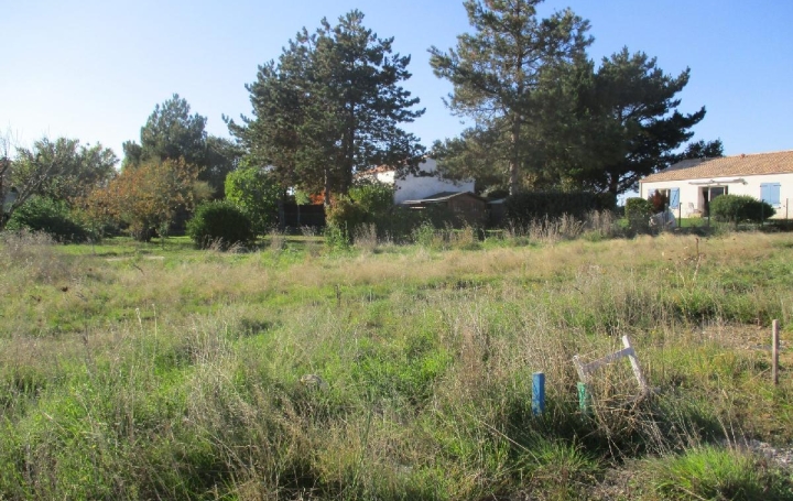 Terrain BREM-SUR-MER (85470)  432 m2 89 000 € 