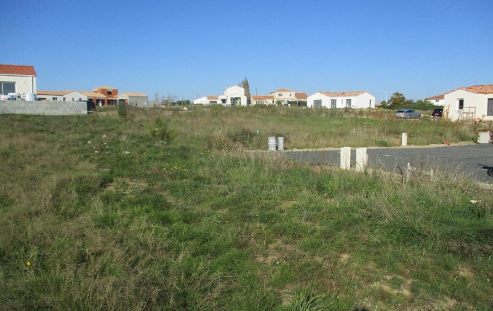 Terrain BREM-SUR-MER (85470)  451 m2 95 000 € 