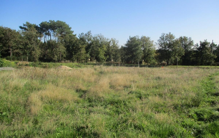 Terrain BREM-SUR-MER (85470)  451 m2 95 000 € 