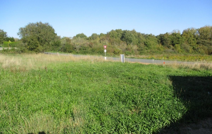 Terrain BREM-SUR-MER (85470)  579 m2 145 000 € 