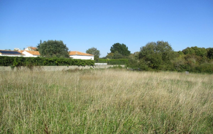 Terrain BREM-SUR-MER (85470)  537 m2 132 000 € 