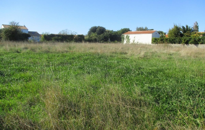 Terrain BREM-SUR-MER (85470)  512 m2 129 500 € 