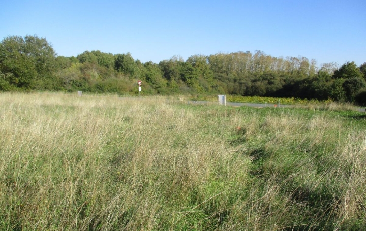 Terrain BREM-SUR-MER (85470)  512 m2 129 500 € 