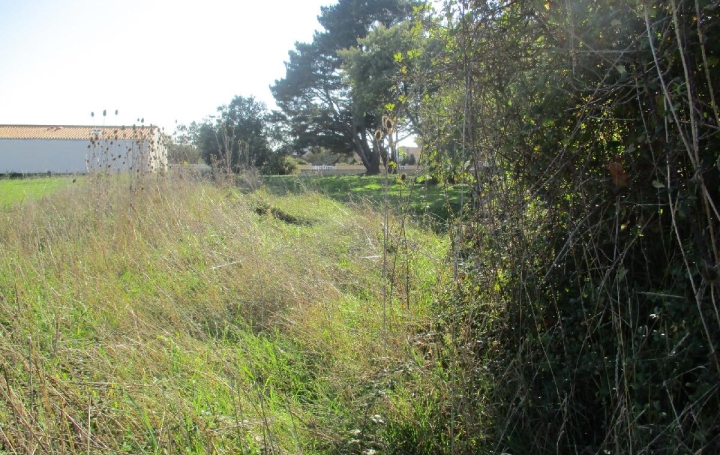 Terrain BREM-SUR-MER (85470)  512 m2 129 500 € 