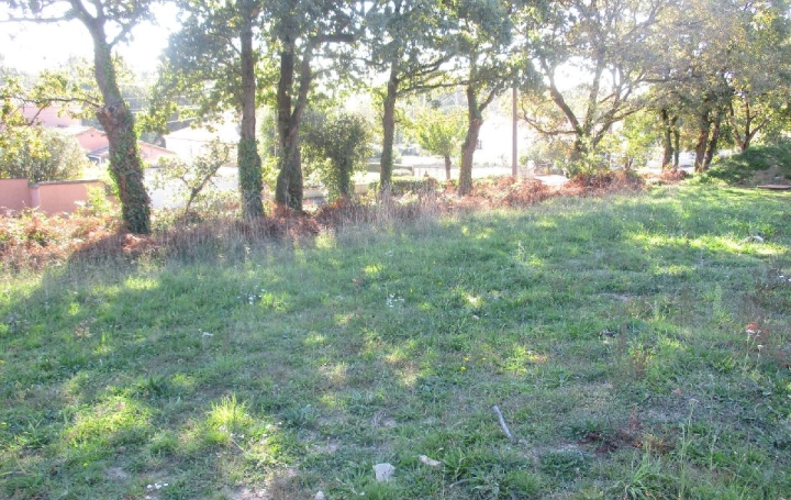 Terrain VAIRE (85150)  709 m2 89 900 € 