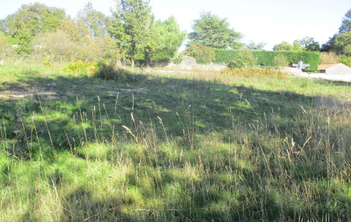 Terrain VAIRE (85150)  709 m2 89 900 € 