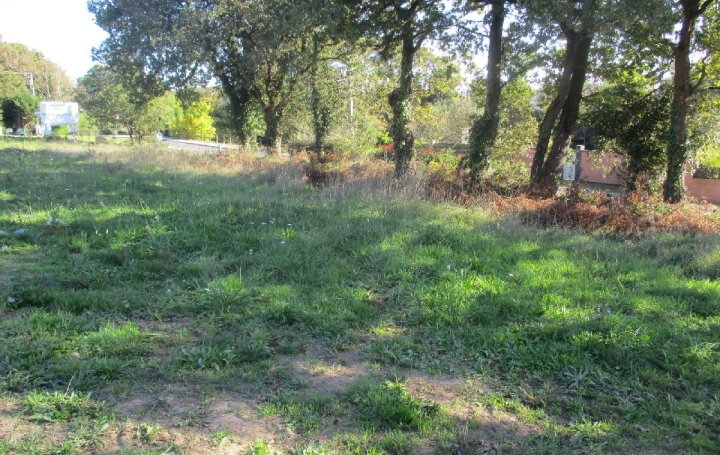 Terrain VAIRE (85150)  709 m2 89 900 € 