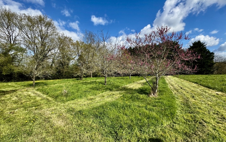 Maison LE GIROUARD (85150)  95 m2 291 500 € 