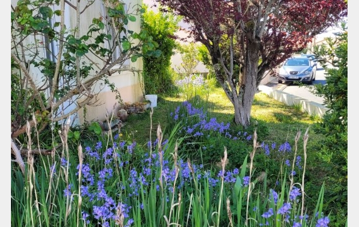 Maison LES SABLES-D'OLONNE (85180)  85 m2 279 900 € 