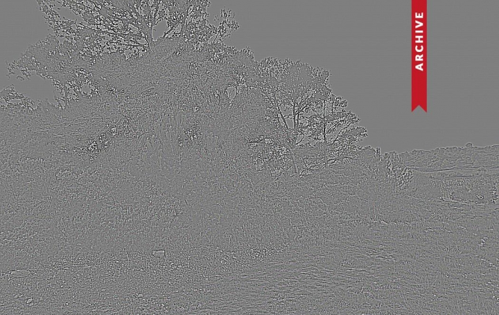 Réseau Immo-diffusion : Terrain  MONTSERET  1 808 m2 115 000 € 