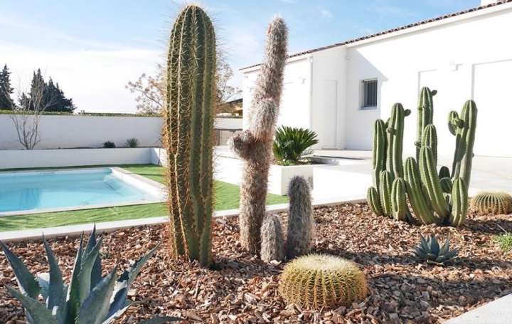 Réseau Immo-diffusion : Villa  MIREPEISSET  152 m2 445 000 € 