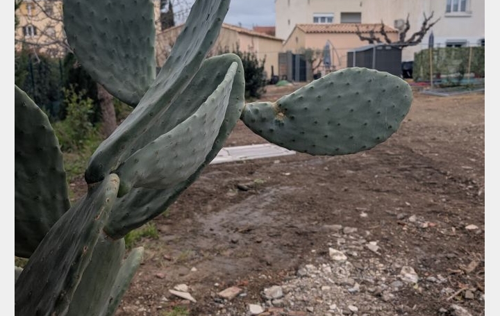 Terrain NARBONNE (11100)   129 000 € 