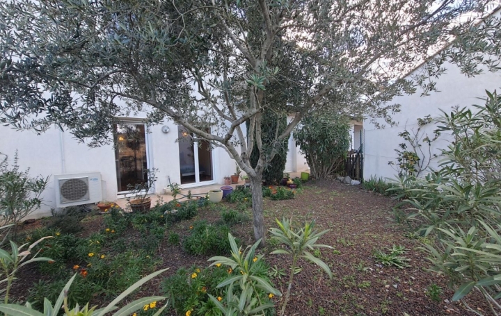 5 Pièces MONTREDON-DES-CORBIERES (11100)  161 m2 209 000 € 